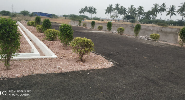 Madhavapatnam Plots