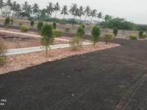 Madhavapatnam Plots