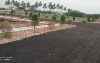 Madhavapatnam Plots