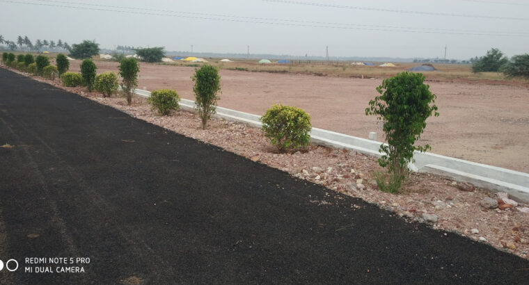 Madhavapatnam Plots