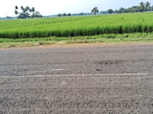 agriculture land Near Pitapuram