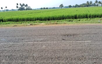 agriculture land Near Pitapuram