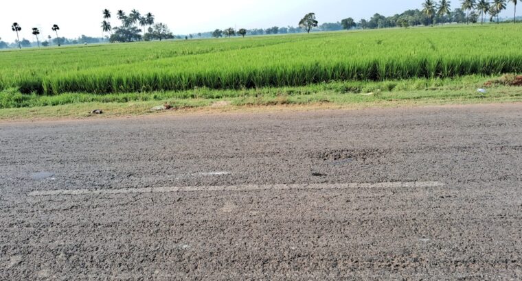 agriculture land Near Pitapuram